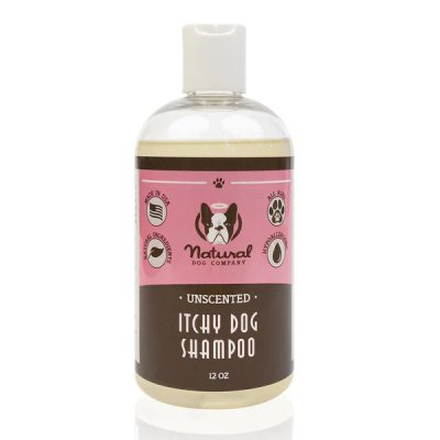 itchy-dog-shampoo